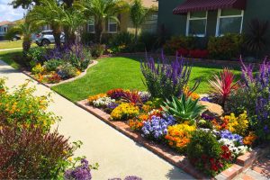 Tropical Garden Construction for Private Villa – Ms. Emily Nguyen